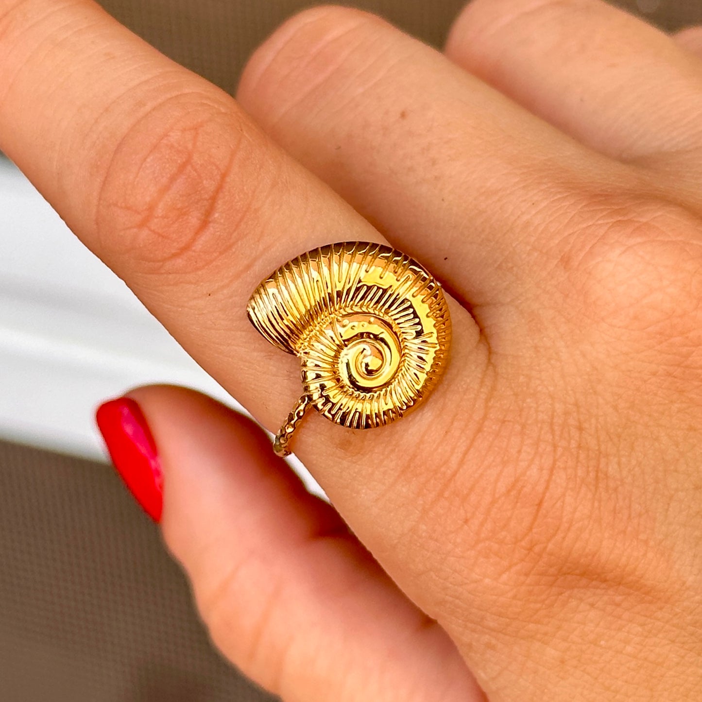 Anillo Caracarol Acero Inoxidable 8901-76