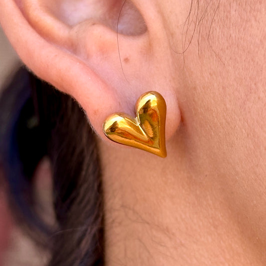 Aretes Acero Inoxidable 8901-8