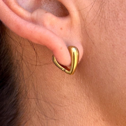 Aretes Acero Inoxidable 8901-9