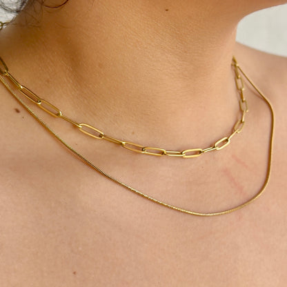 Collar Doble Acero Inoxidable 8902-201