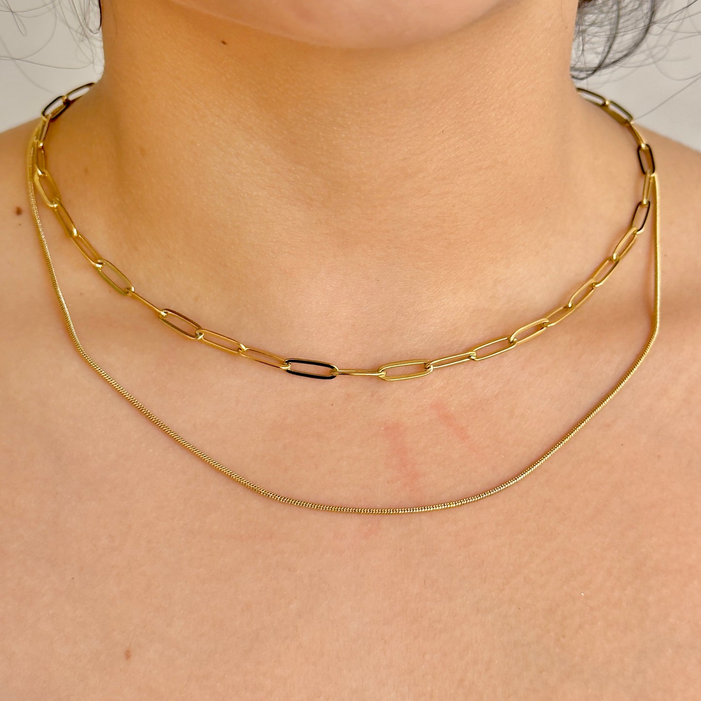 Collar Doble Acero Inoxidable 8902-201