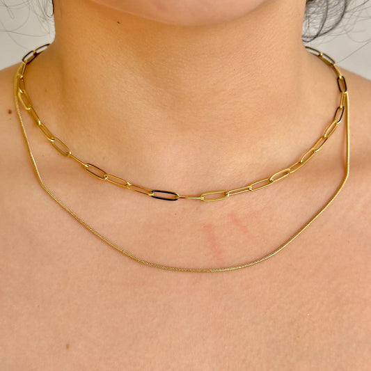 Collar Doble Acero Inoxidable 8902-201