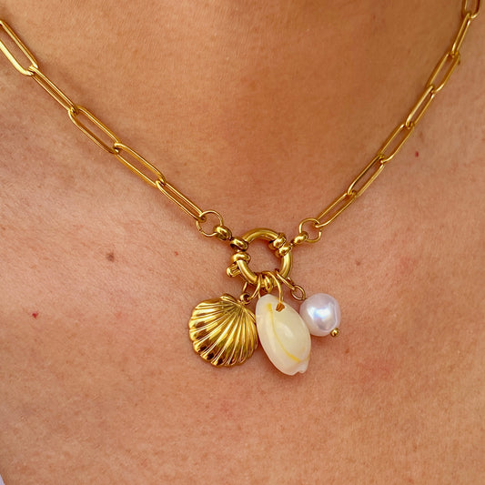 Collar Acero Inoxidable 9826-13