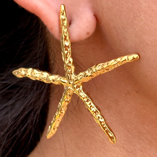 Aretes Acero Inoxidable 9826-165