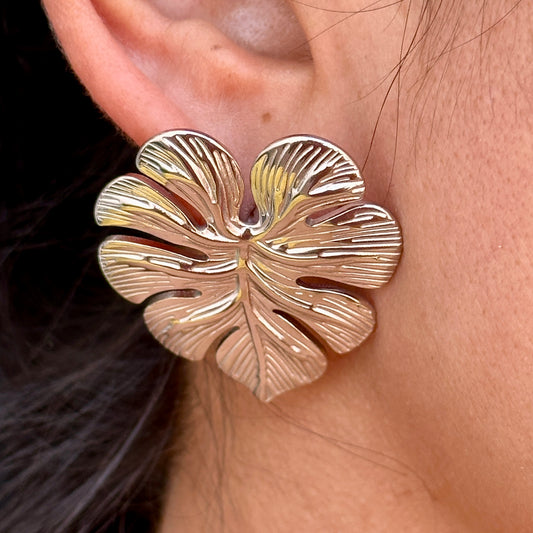 Aretes Acero Inoxidable 9826-178