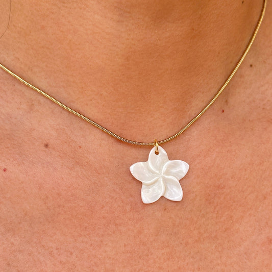 Collar Acero Inoxidable 9826-45