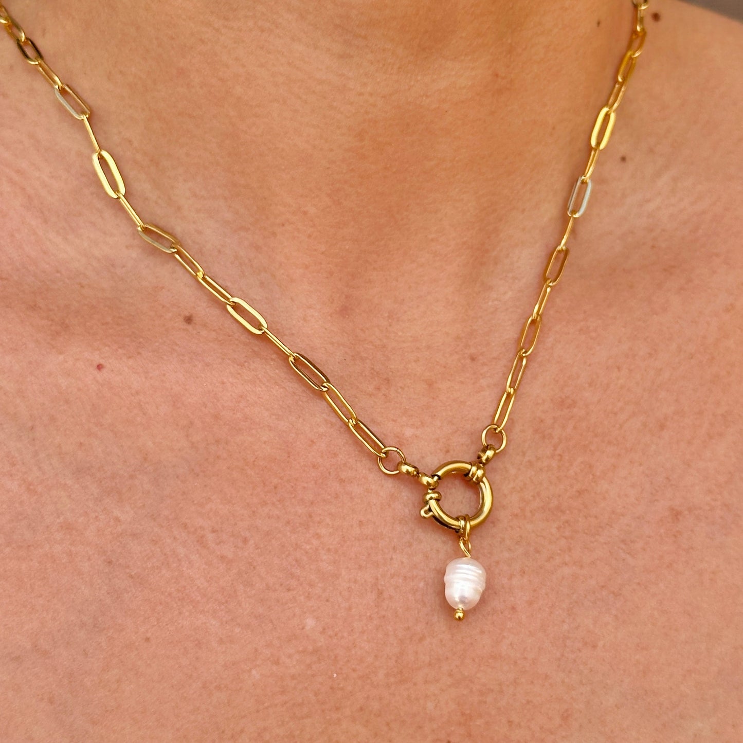 Collar Acero Inoxidable 9826-56