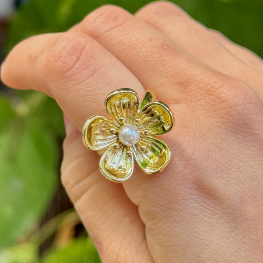 Anillo Chapa de Oro 18K