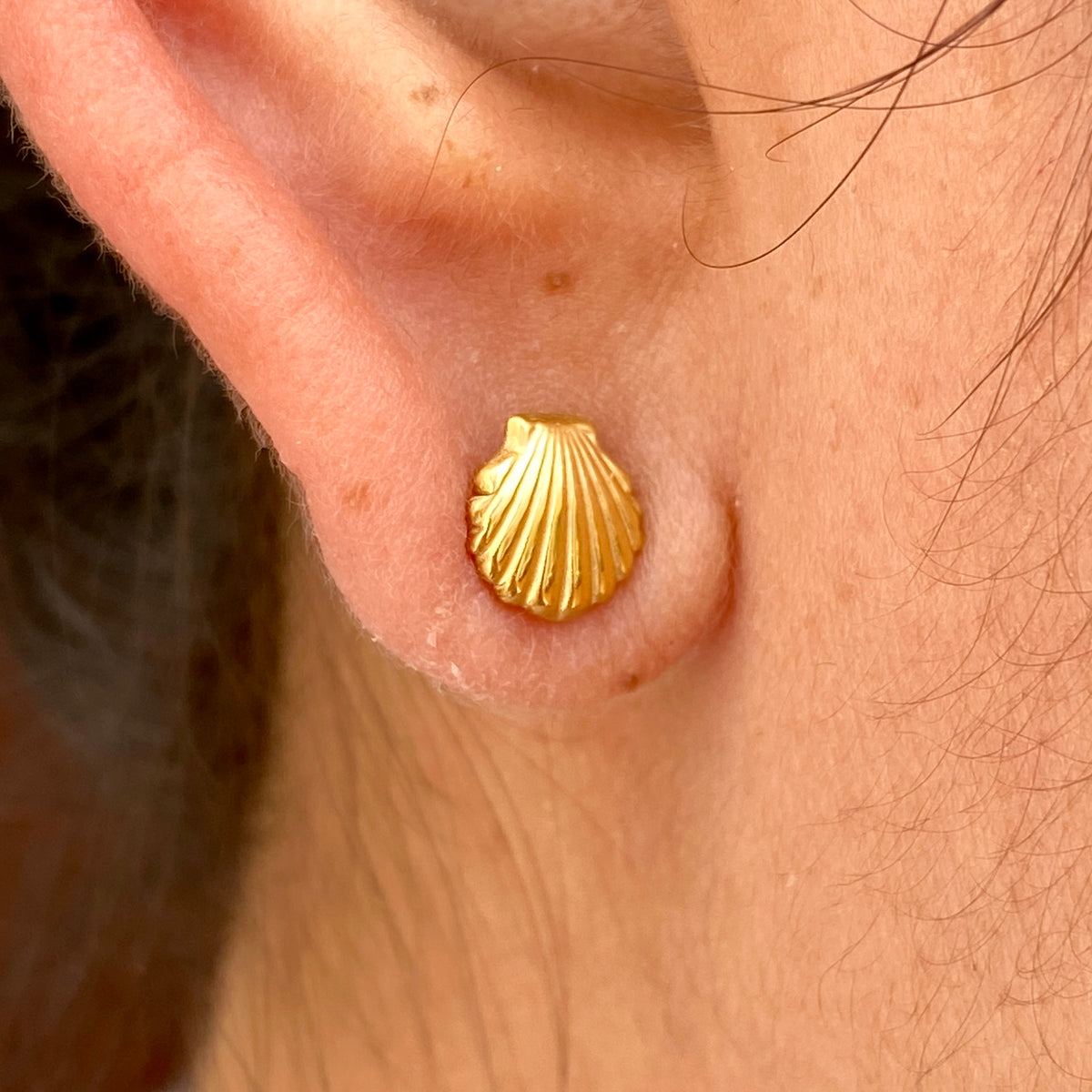Aretes Concha Dorada Acero Inox 3072-4